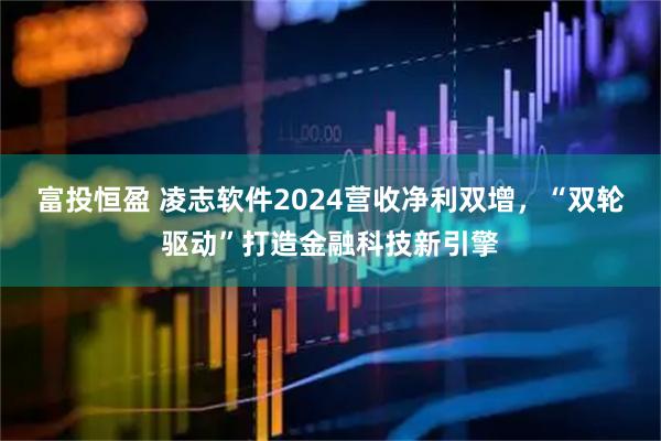 富投恒盈 凌志软件2024营收净利双增，“双轮驱动”打造金融科技新引擎