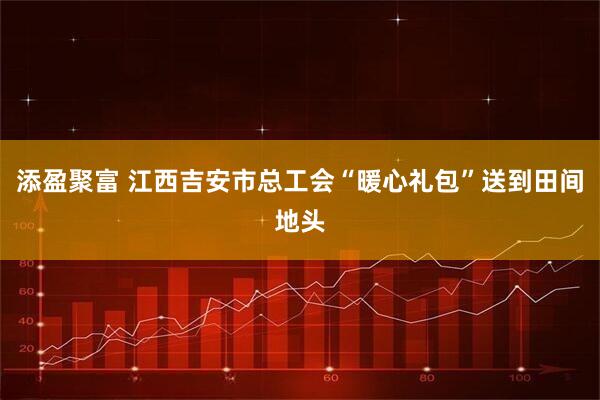 添盈聚富 江西吉安市总工会“暖心礼包”送到田间地头
