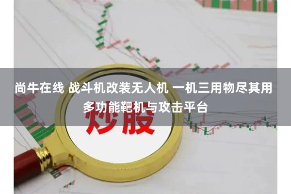 尚牛在线 战斗机改装无人机 一机三用物尽其用 多功能靶机与攻击平台